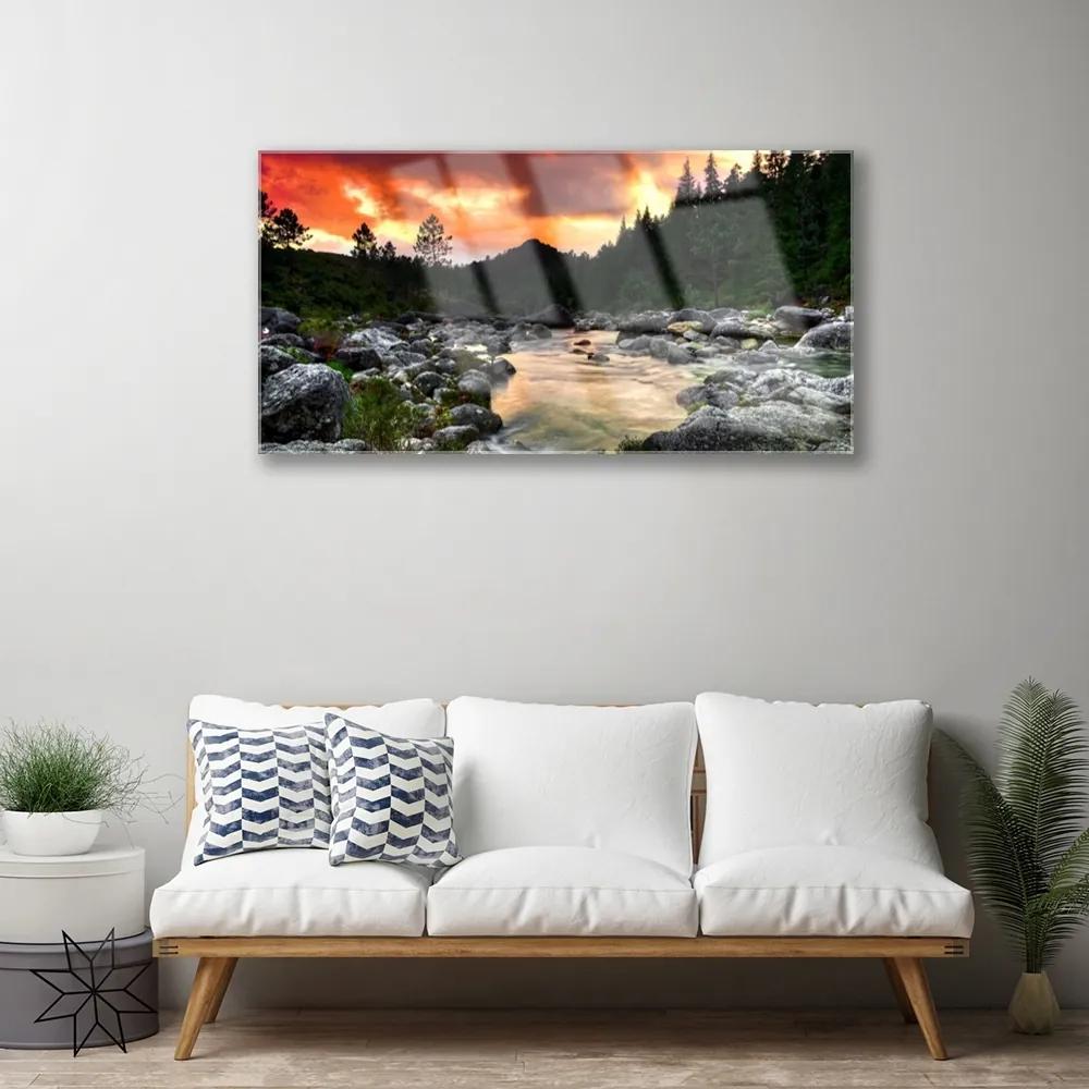 Skleneny obraz Jazero kamene les príroda 100x50 cm