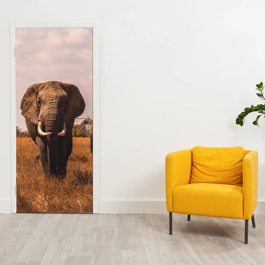 Fototapeta na dvere - Príchod slona (95x205cm)