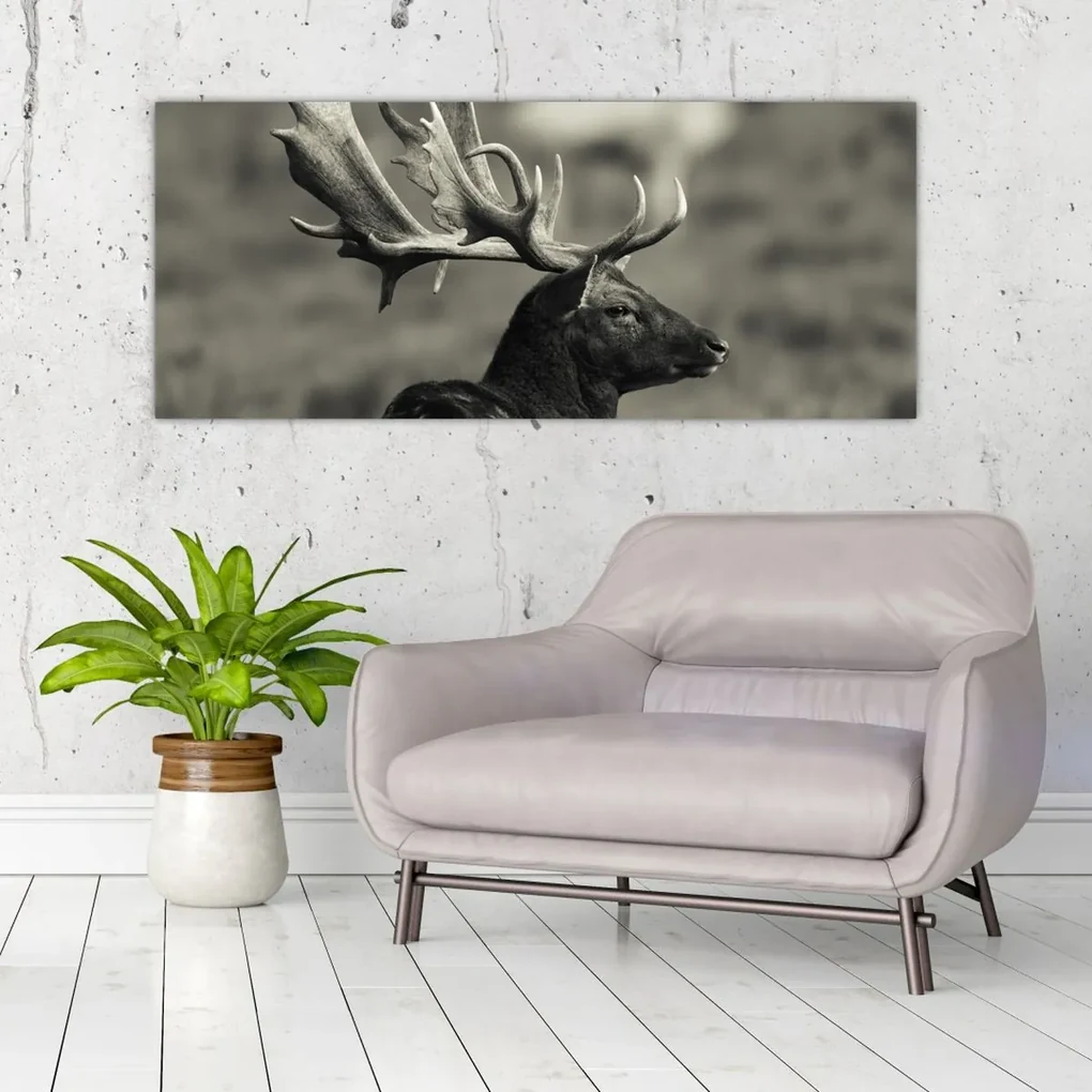 Obraz - Jeleň (120x50 cm)