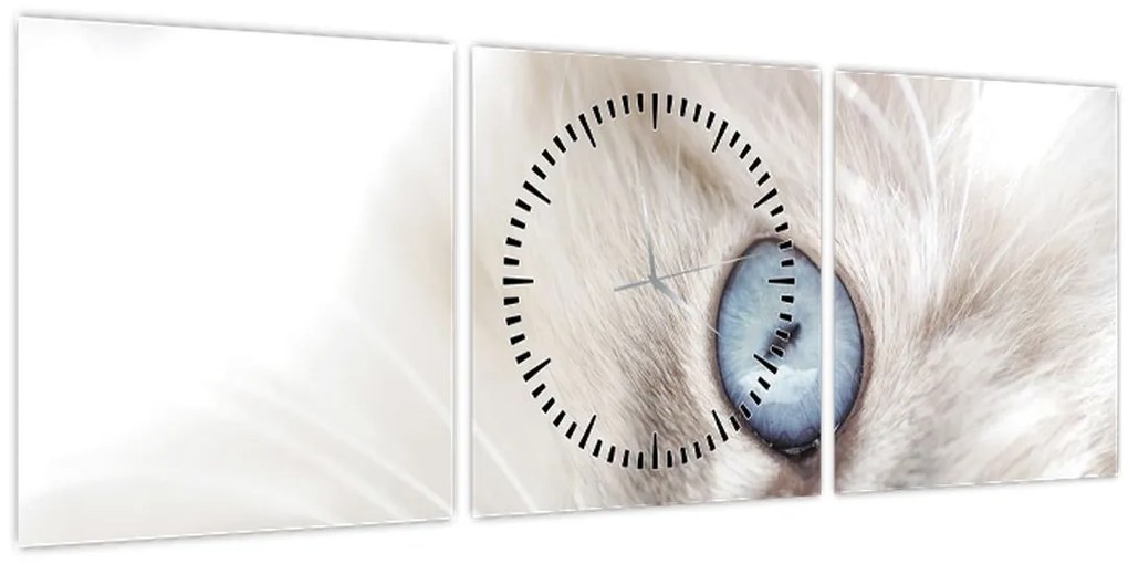 Obraz - Mačka s modrými očami (s hodinami) (90x30 cm)