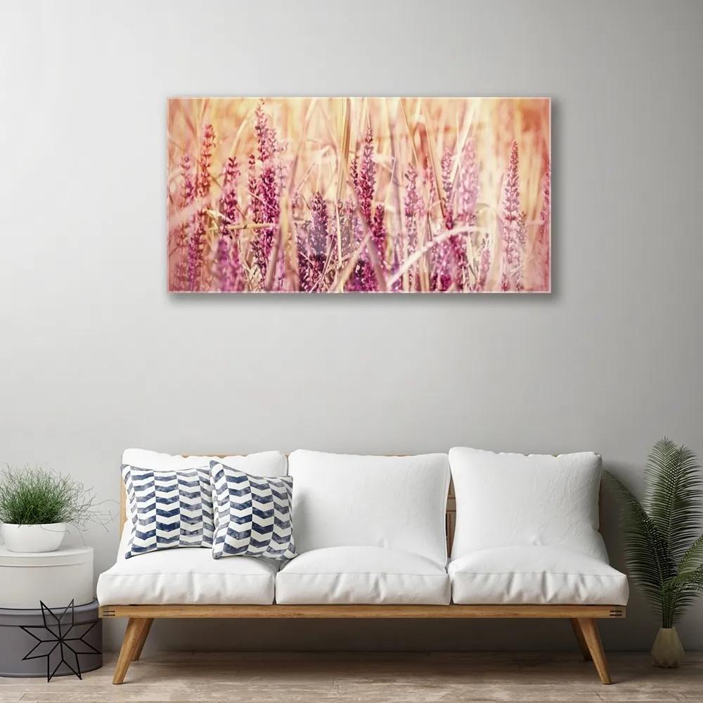 Skleneny obraz Pšenica rastlina príroda 140x70 cm