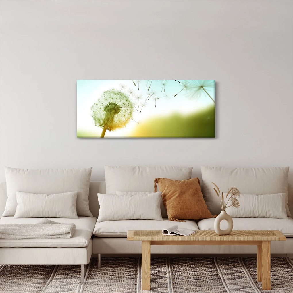 Obraz - Púpava vo vetre (120x50 cm)