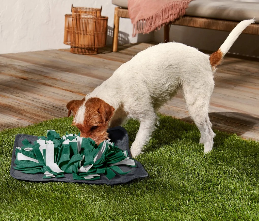 Koberček na stimuláciu čuchu pre domácich maznáčikov