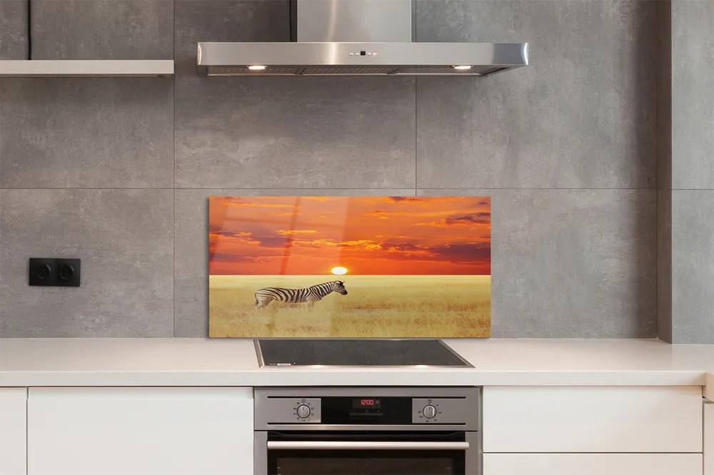 Nástenný panel  Zebra poľa sunset 100x50 cm