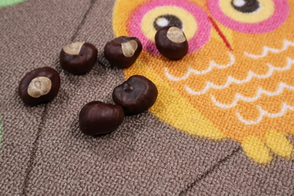 Detský metrážny koberec Little Owls, na mieru, šíře 4m, hnedá, filc, detská izba, AladinWorld Expres