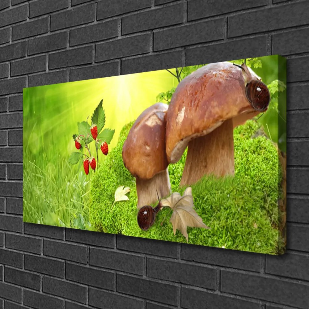 Obraz na plátne Huby divoké jahody 120x60 cm