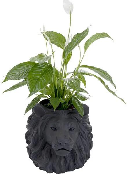 Lion dekoratívny kvetináč čierny