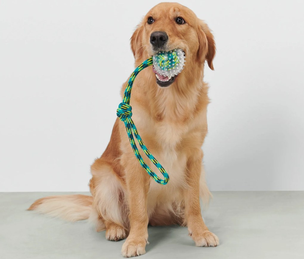 Hádzacia hračka pre psy