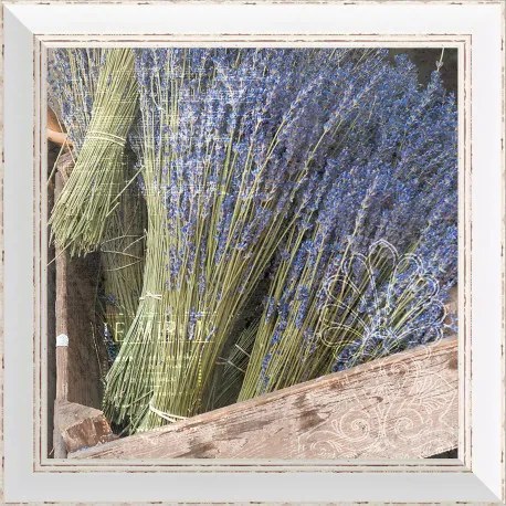 Rámovaný obraz 40x40cm FAP148