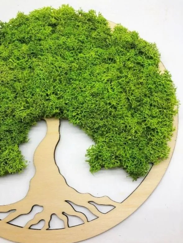 Strom na stenu z machu Breena 30 cm