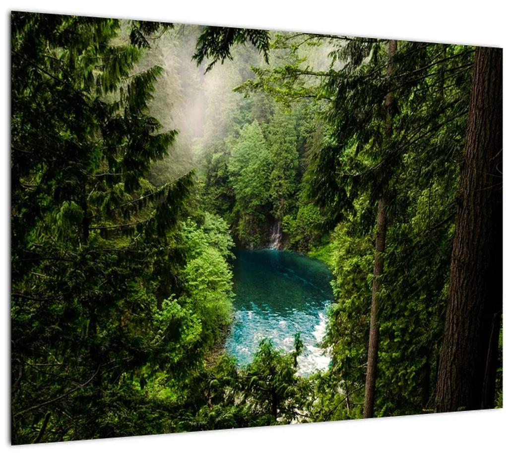 Sklenený obraz - Priezor medzi stromami (70x50 cm)