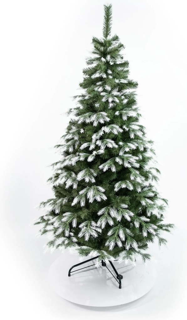 Borovica kanadská 3D- 240cm