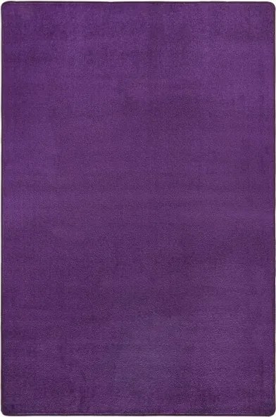 DOPREDAJ: 80x300 cm Kusový koberec Fancy 103005 Lila - fialový, 80x300, fialová, obývacia izba, Hanse Home