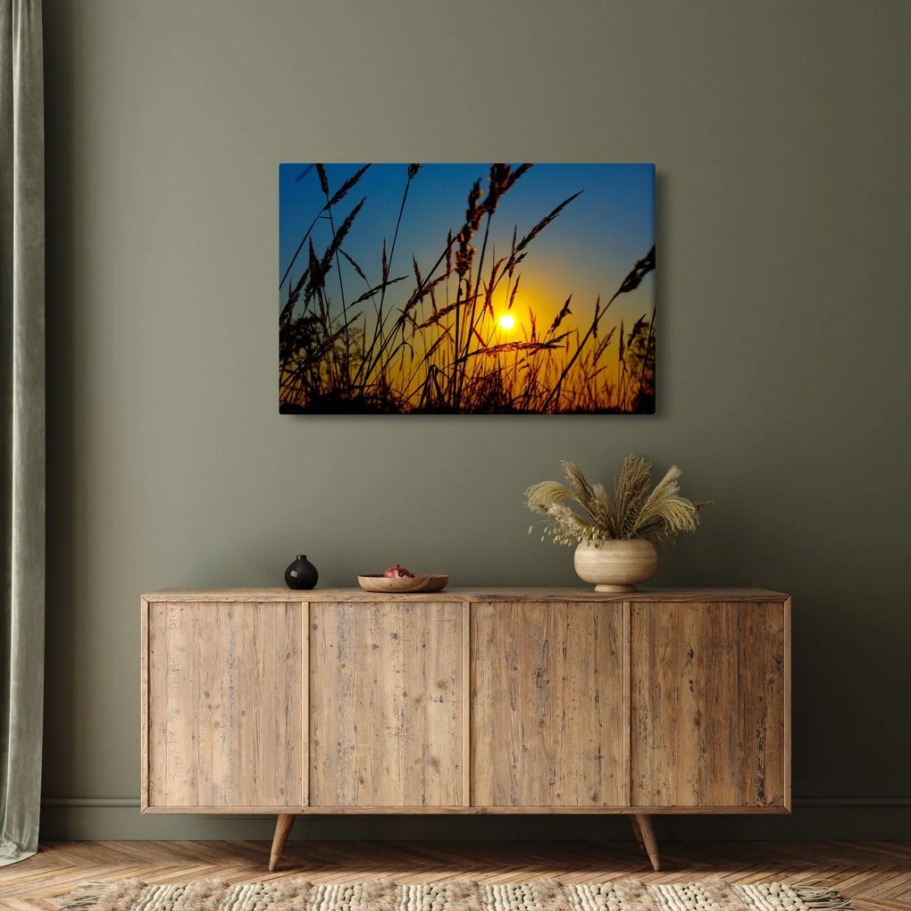 Obraz - Západ slnka v lúke (90x60 cm)