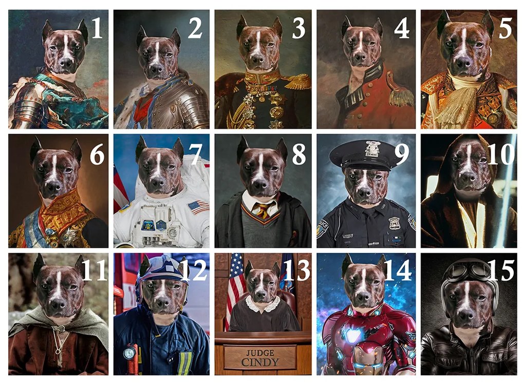 Obraz z fotky na plátne Generál_4 – 75x90 cm | rôzne uniformy