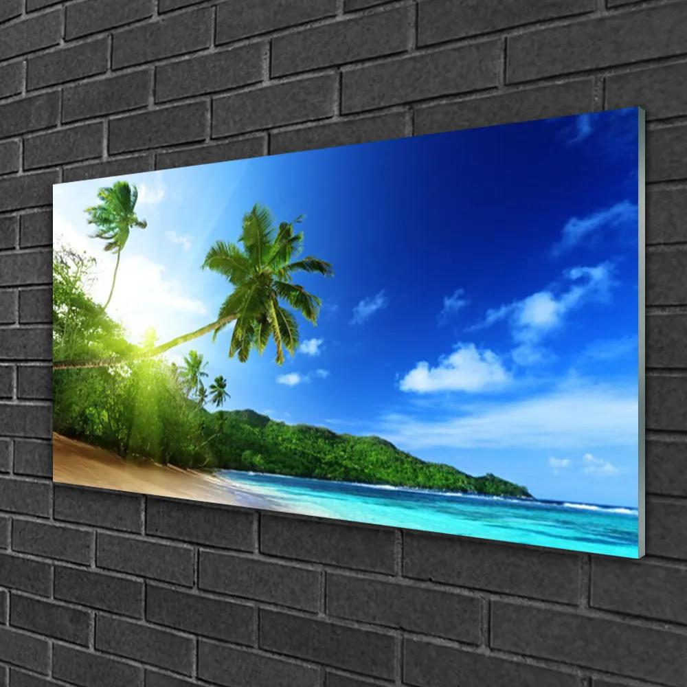 Skleneny obraz Pláž more palma krajina 100x50 cm