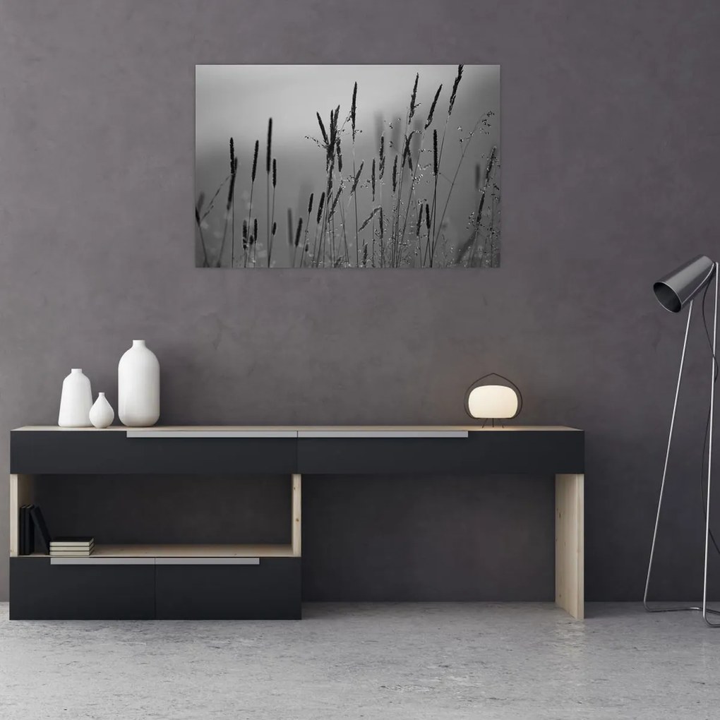 Obraz - Steblá trávy (90x60 cm)