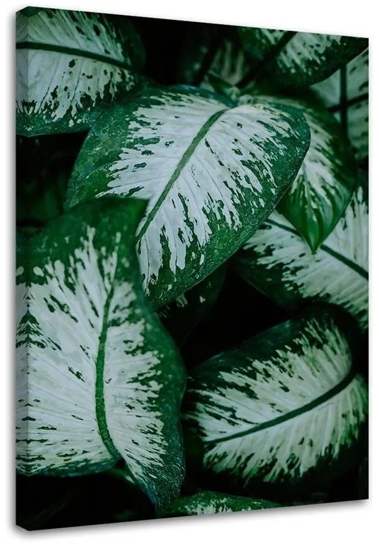Gario Obraz na plátne Tropické listy biele a zelené Rozmery: 40 x 60 cm
