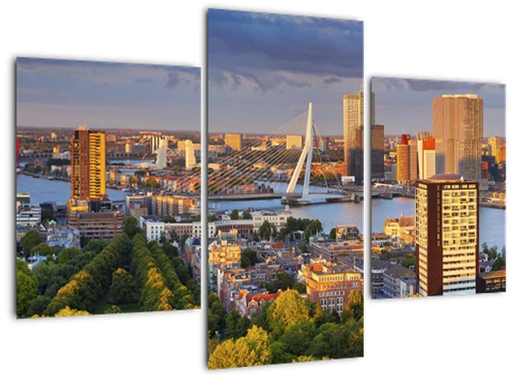 Obraz - Panorama Rotterdamu, Holandsko (90x60 cm)