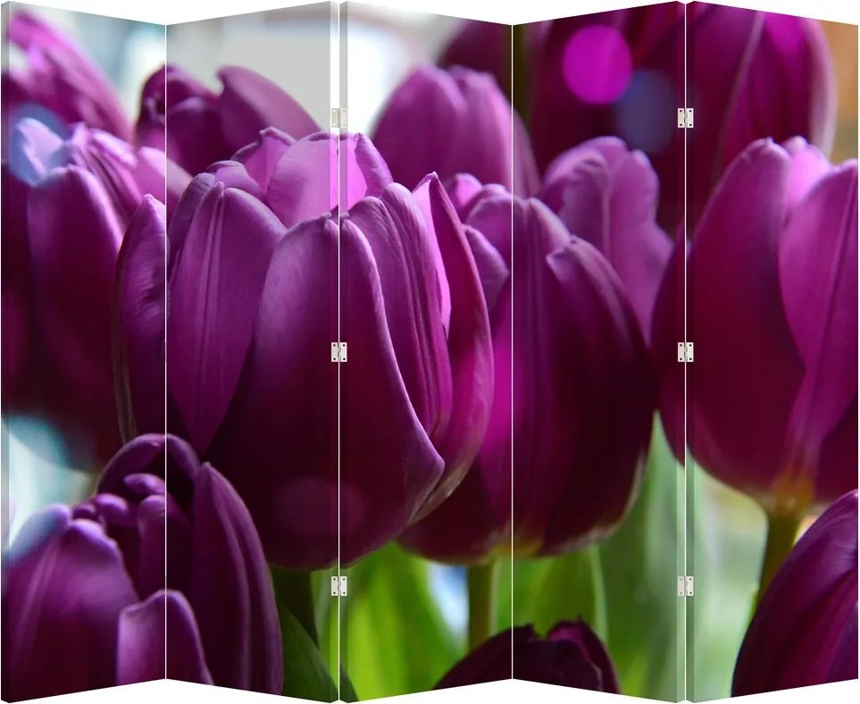 Paraván - Tulipány (210x170 cm)
