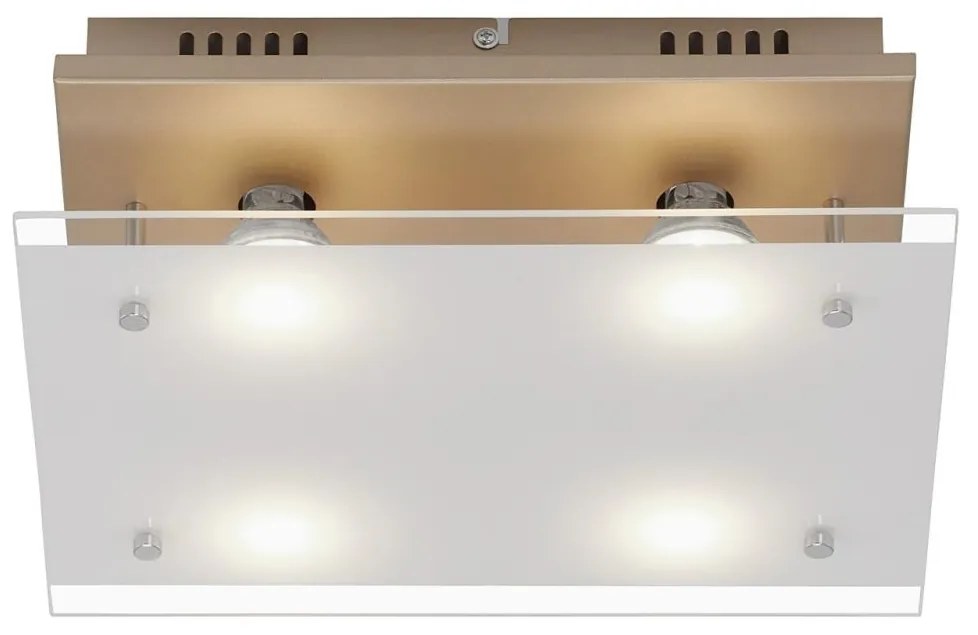 Briloner 3586-047 - LED Stropné svietidlo SMART GOLD 4xGU10/4W/230V