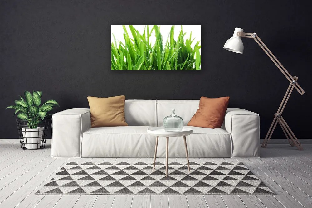Obraz na plátne Tráva rastlina 125x50 cm