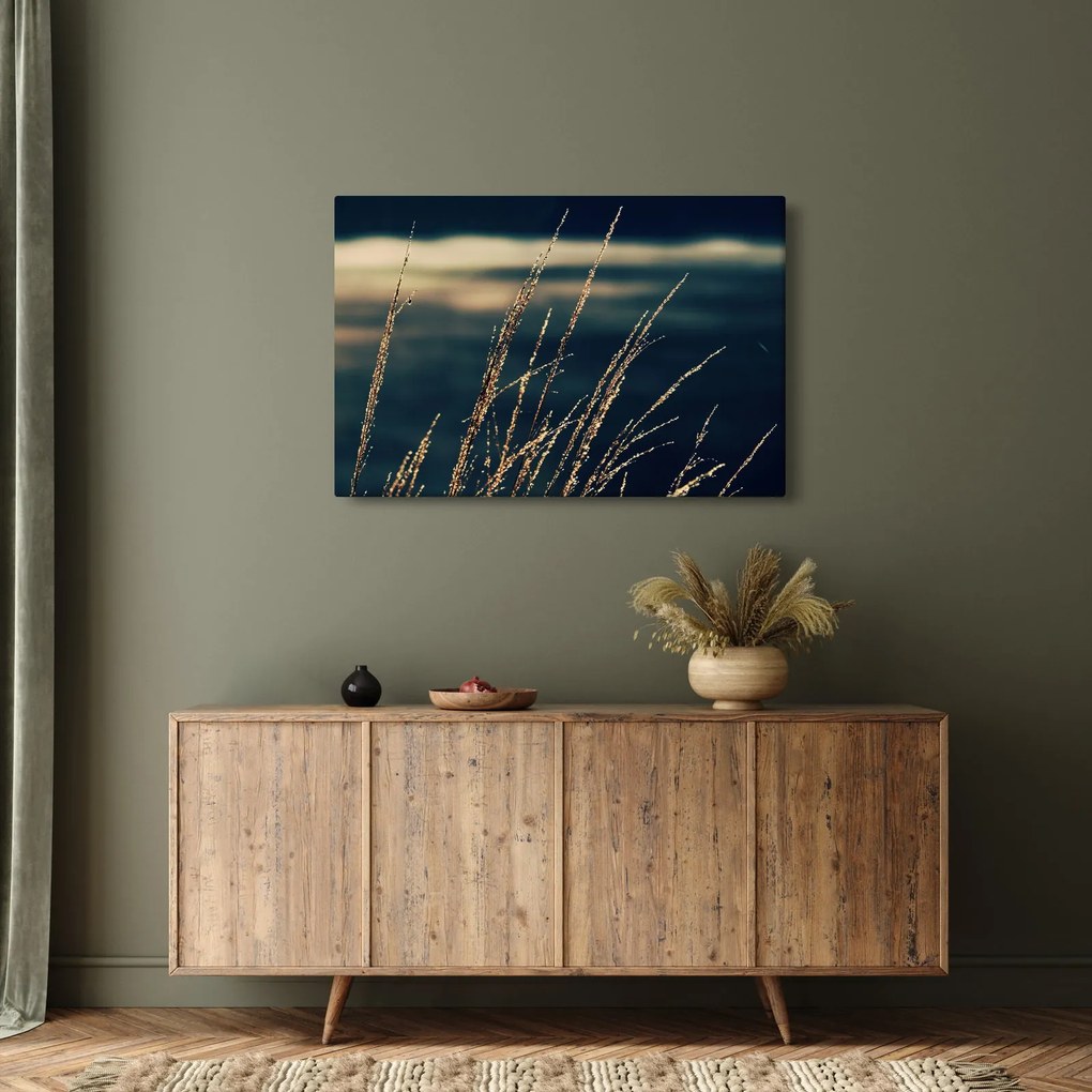 Obraz tráv (90x60 cm)