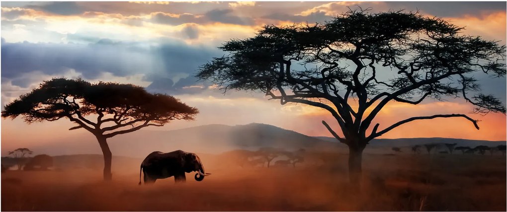 Obraz - Národný park Serengeti, Tanzánia, Afrika (120x50 cm)