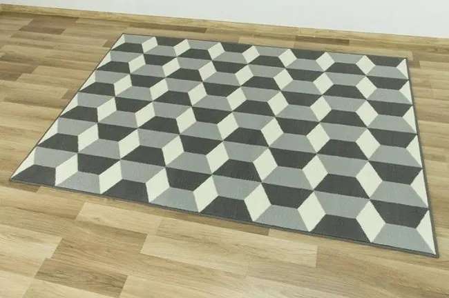 Koberec LUNA 503757/89911 Kocky sivý