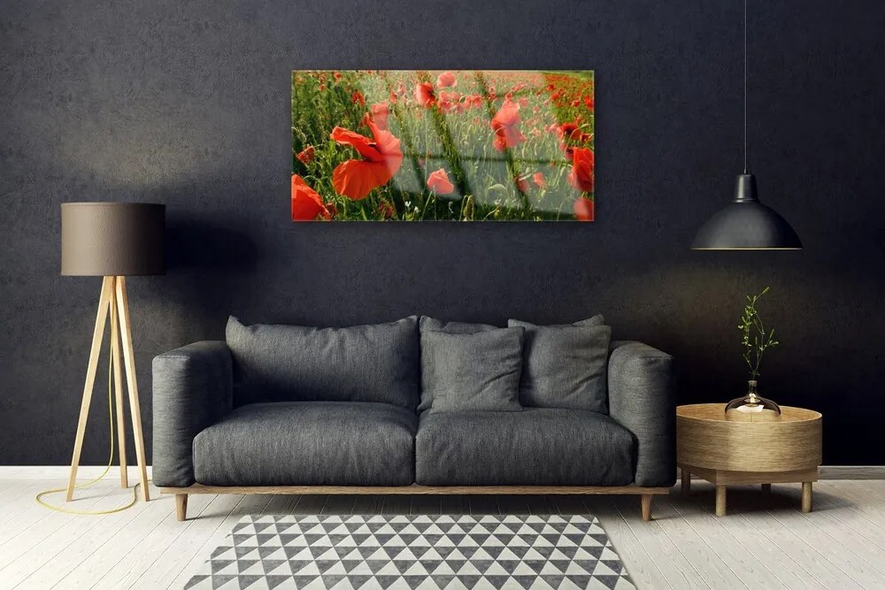 Skleneny obraz Maky rastlina príroda 100x50 cm