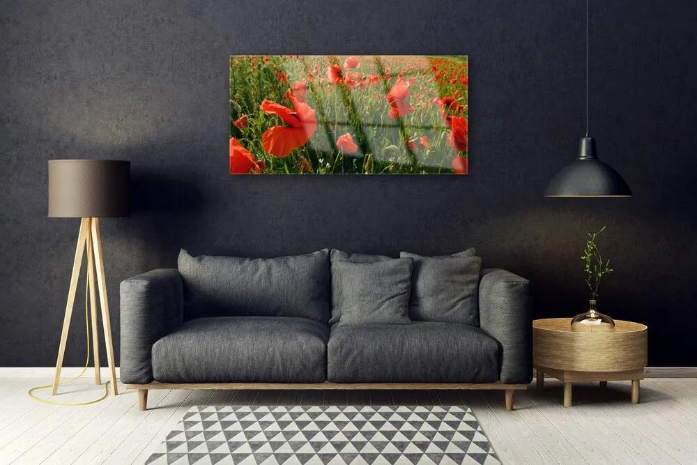 Skleneny obraz Maky rastlina príroda 120x60 cm