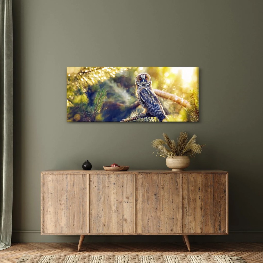 Obraz sovy na strome (120x50 cm)