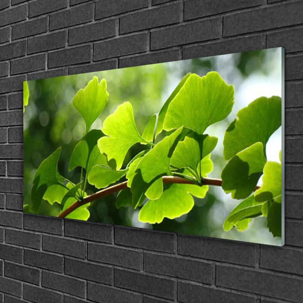 Skleneny obraz Vetvy listy príroda strom 120x60 cm