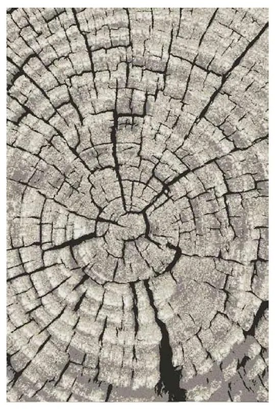 Koberec Frisee Phoenix 0,8/1,5 6021 244