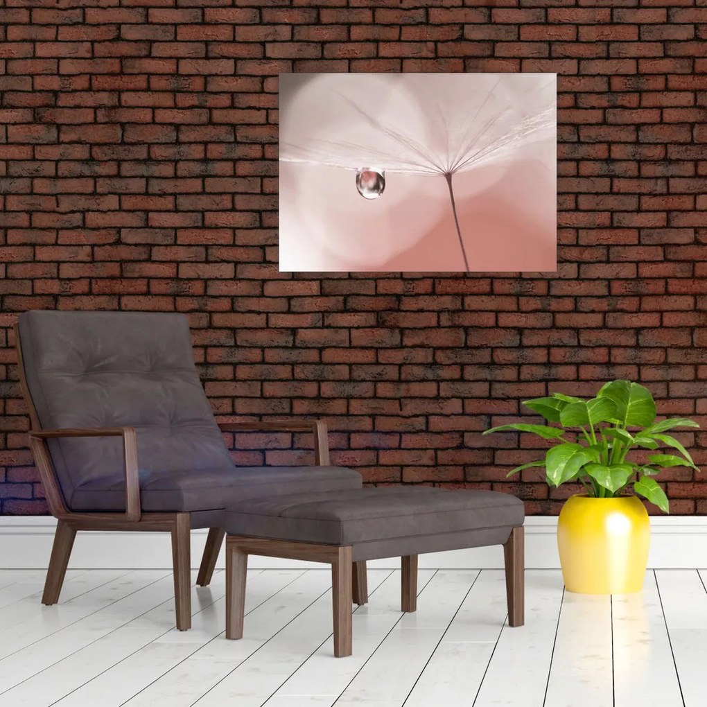 Obraz - Kvapka rosy (70x50 cm)
