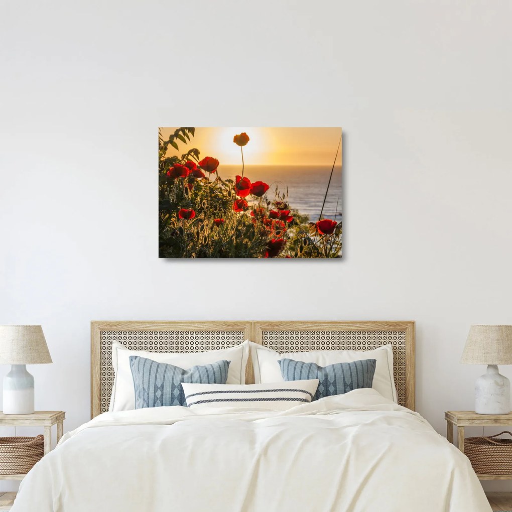 Sklenený obraz západu slnka s vlčími makmi (70x50 cm)