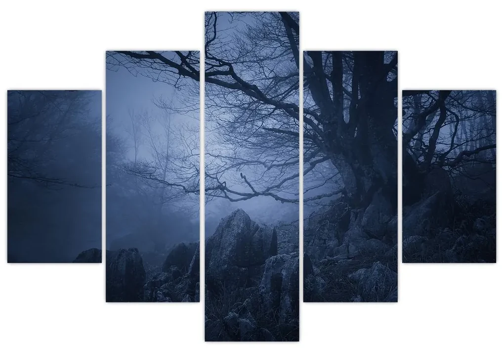 Obraz temného lesa (150x105 cm)