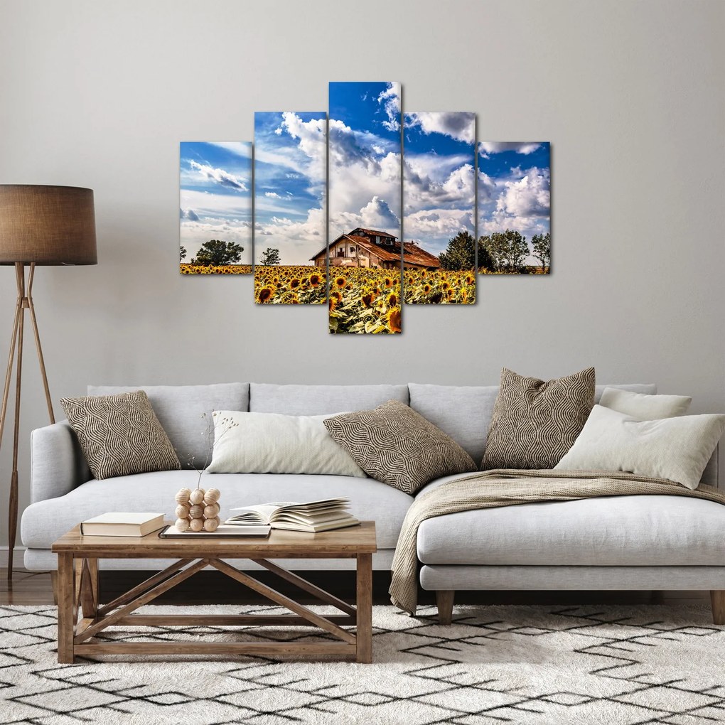 Obraz slnečnicového poľa (150x105 cm)