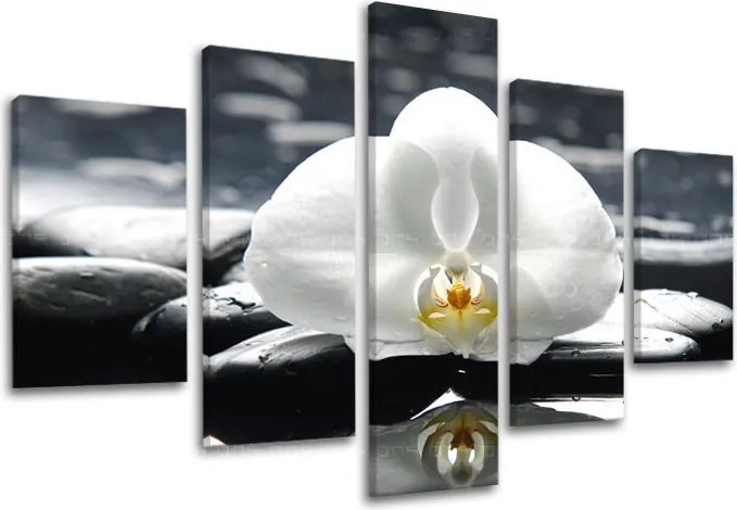 Obraz na stenu FENG SHUI