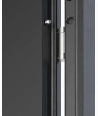 Kovové vchodové dvere S68 Neptun 90 Ľ tmavý antracit