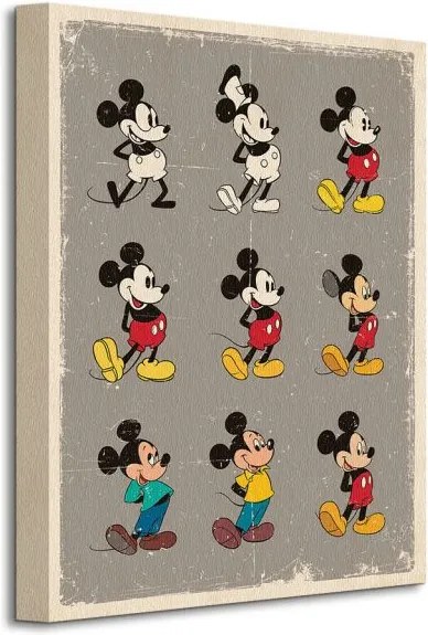 Obraz na plátne Disney Mickey Mouse (Evolution) 30x40cm WDC92455