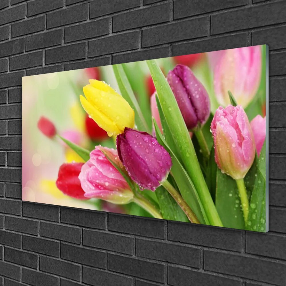 Obraz na skle Tulipány kvety rastlina 125x50 cm