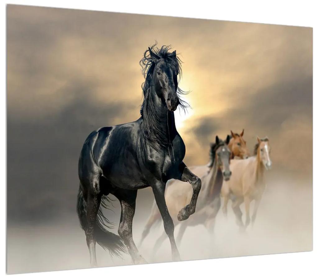 Obraz koňa (K012491K7050)