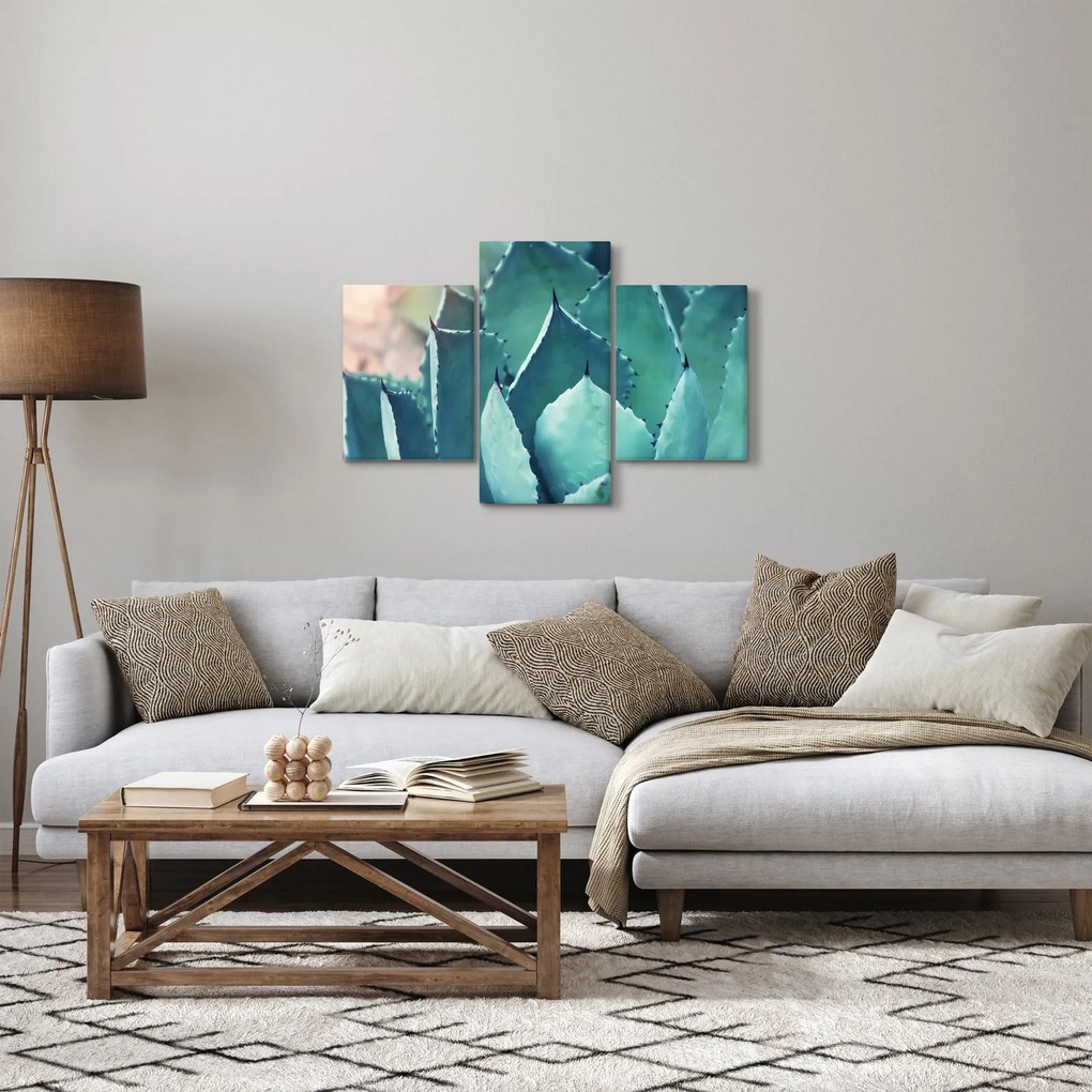 Obraz - Sukulent (90x60 cm)