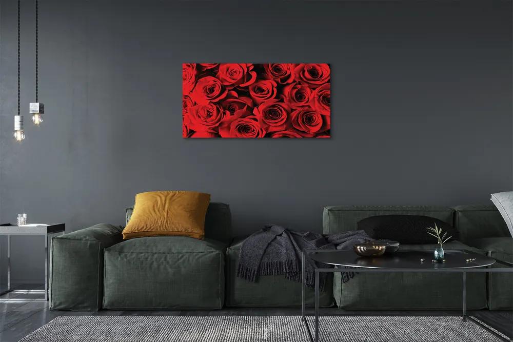 Obraz canvas ruže 125x50 cm