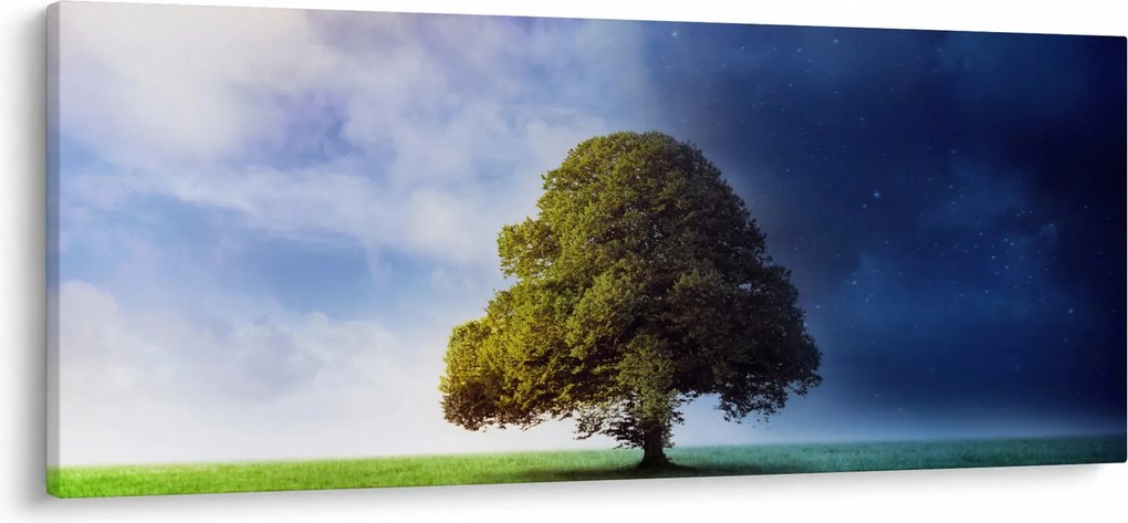 Obraz - Deň a noc (120x50 cm)