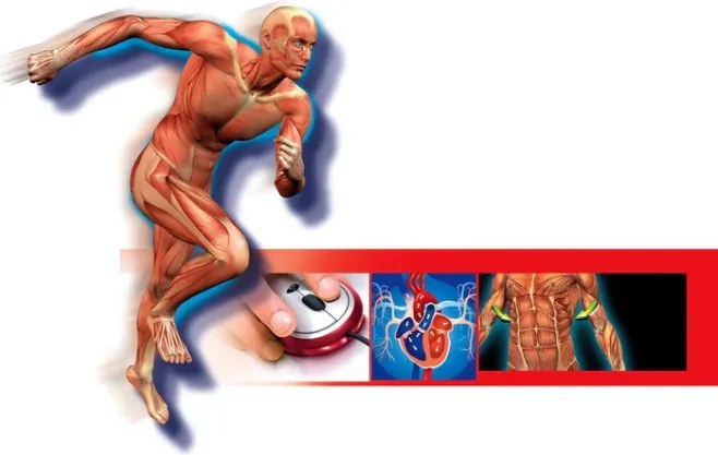 Vedecká zábava Ľudské telo Poľský jazyk Clementoni 60249