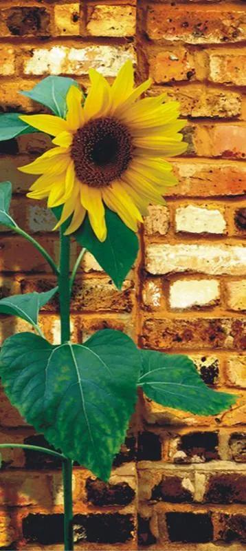 Fototapeta na dvere - Sunflower on bricks papierová tapeta
