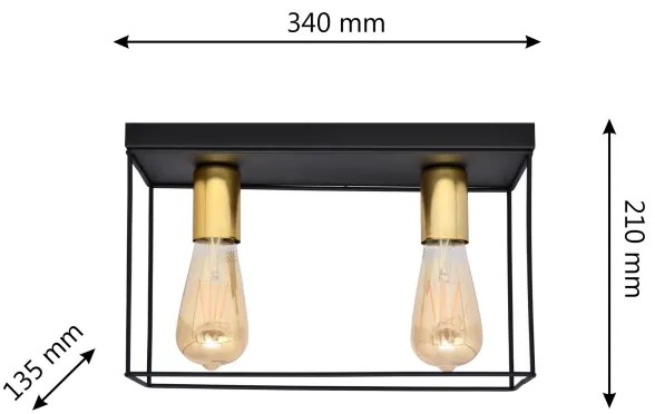 Stropné svietidlo FINN 2xE27/15W/230V čierna/zlatá