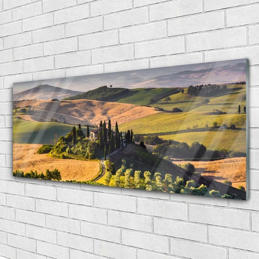 Obraz plexi Príroda vrchoviny lúky domček 125x50 cm